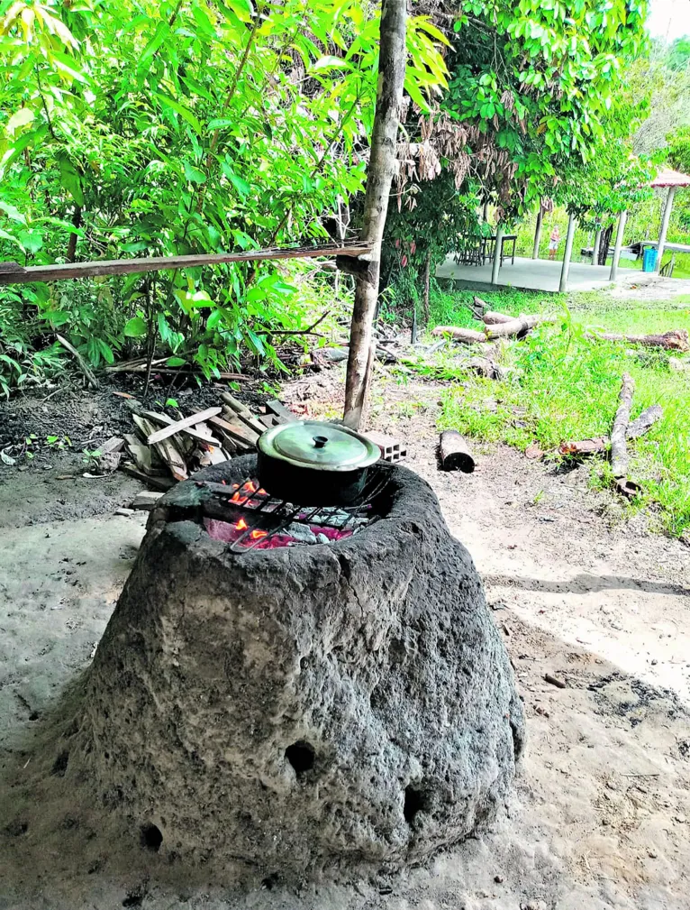 Águas verdes que encantam na terra dos Pretinhos do Mangue