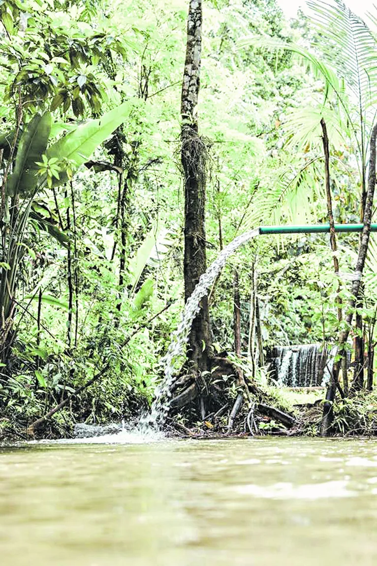 Fontes que formam um paraíso na “terra dos igarapés”