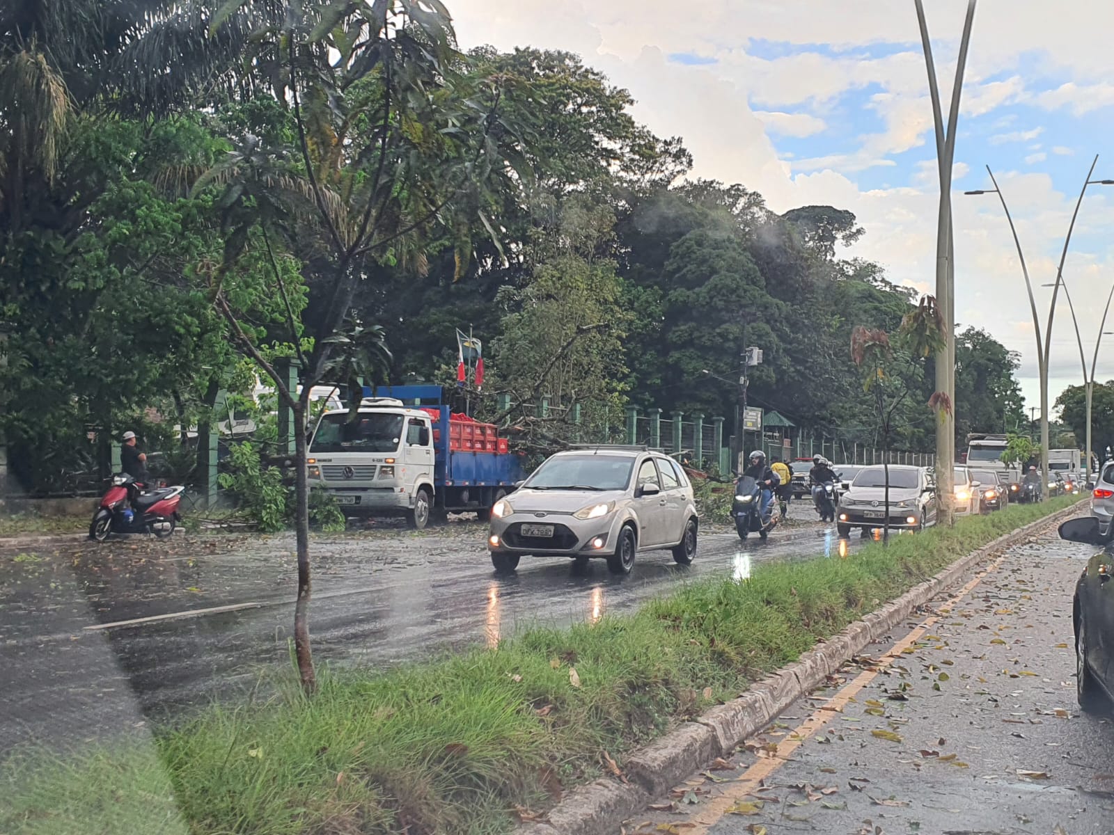 Trânsito no local após queda de árvore