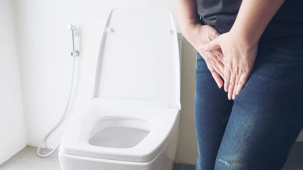Especialista pontua os fatores de risco para a infecção urinária