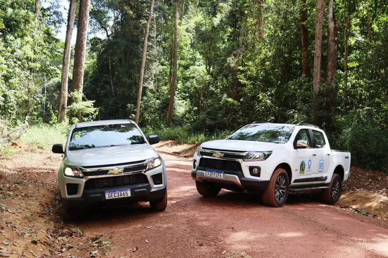 GM apoia restauração da floresta amazônica