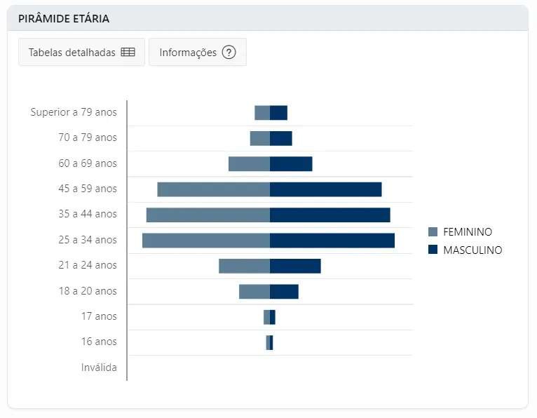 Faixa etária de eleitores dos municípios de Parauapebas e Marabá