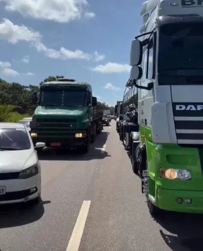 Volta para Belém: ônibus pega fogo e deixa a BR-316 lenta