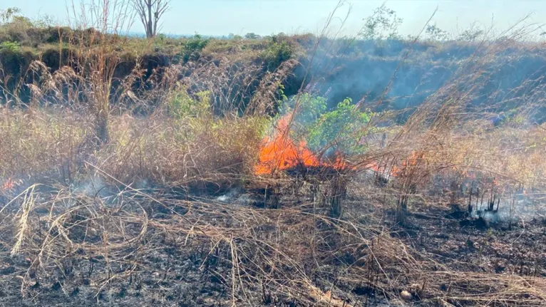 Chamas se alastraram para uma área de pastagem