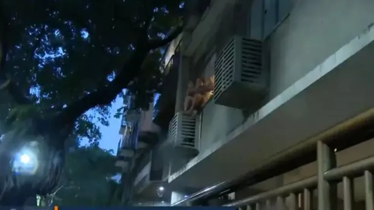 Rosa Stanesco tentou fugir pela janela no momento em que policiais chegavam ao seu apartamento