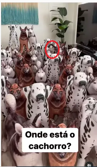 Consegue encontrar o cachorro no vídeo? Veja a resposta!