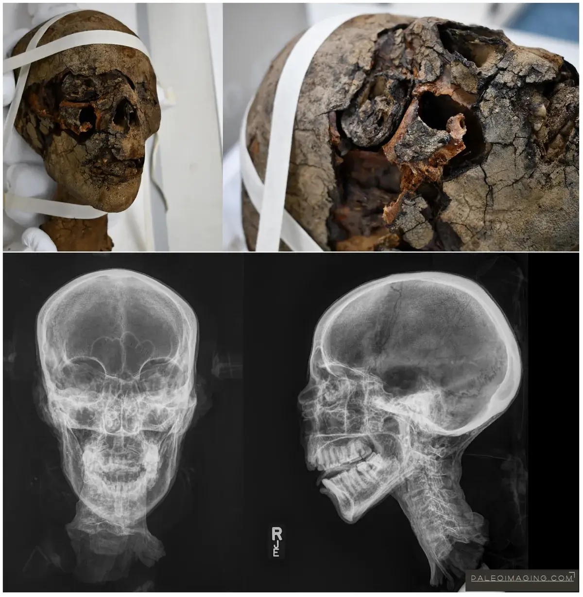 Cabeça de múmia egípcia é achada em sótão no Reino Unido