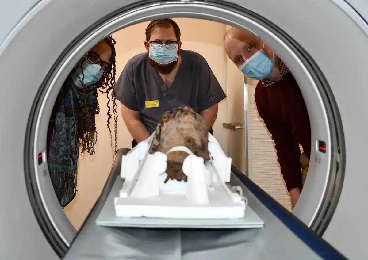 Cabeça de múmia egípcia é achada em sótão no Reino Unido