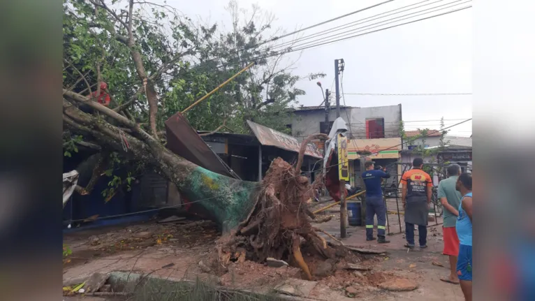 Quase 100 casas são atingidas por ventania em Ananindeua