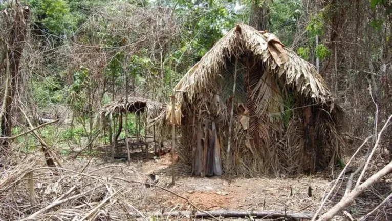 Imagem de uma palhoça do índio do buraco divulgada em 2018