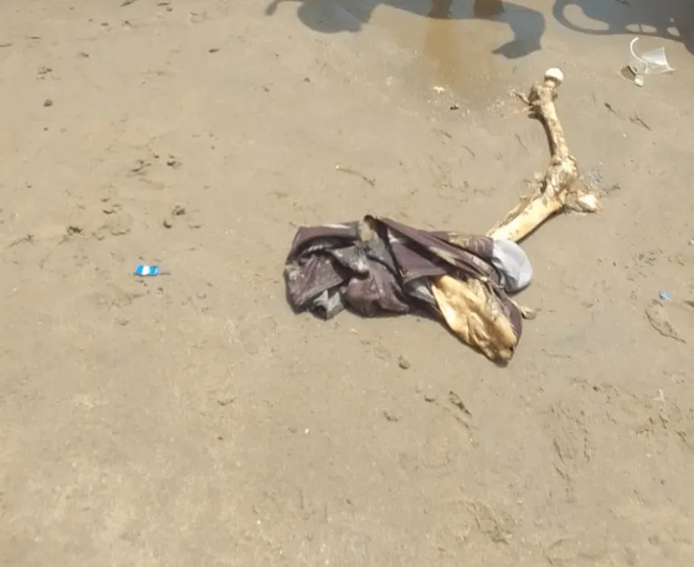 Banhistas encontram esqueleto humano em praia de Manaus