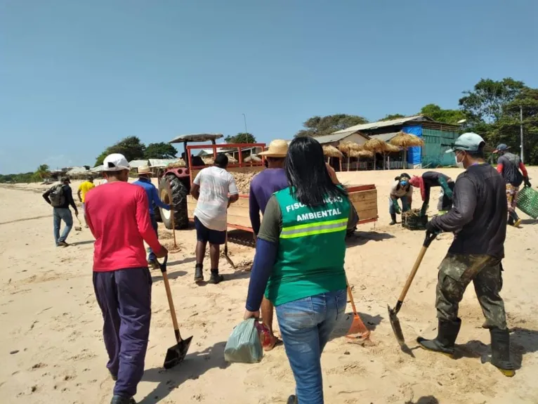 Praias com peixes mortos começam a ser limpas no Marajó