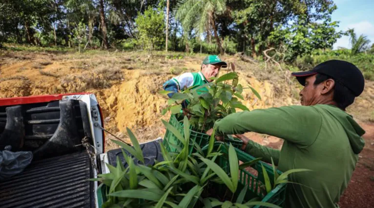 Na Adepará, o engenheiro agrônomo atua na defesa e inspeção vegetal, na certificação de produtos vegetais artesanais