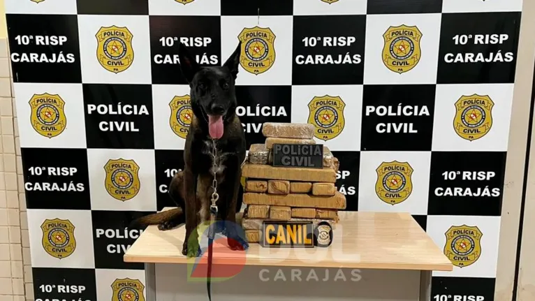 Vasculhada, encontrou-se no interior da bolsa sete tabletes de substância análoga a maconha e mais uma porção de supostamente cocaína