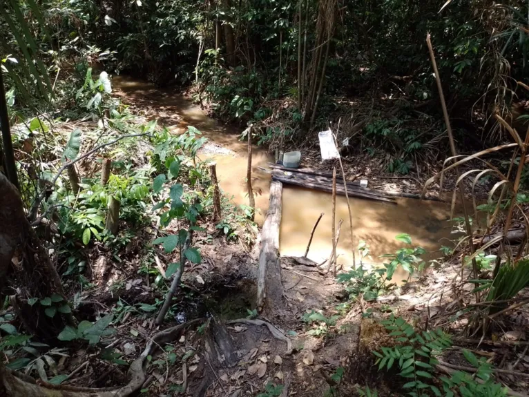 Vítimas são resgatadas em condições análogas à escravidão