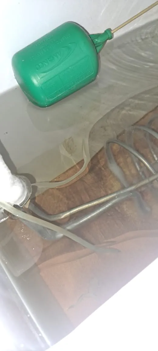 Foto completa mostra sapo morto no fundo do reservatório de um dos bebedouros da UFPA