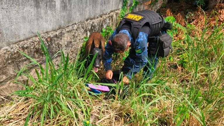 Cão farejador localizou também uma mochila com produtos furtados de um posto de saúde