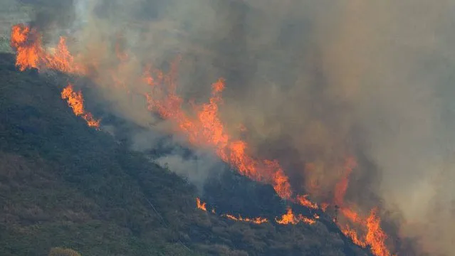 Segundo Marina Silva, incêndios criminosos são facilitados pelo corte seletivo da floresta.