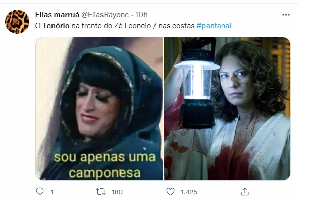  Veja os melhores memes da cena chocante de Pantanal