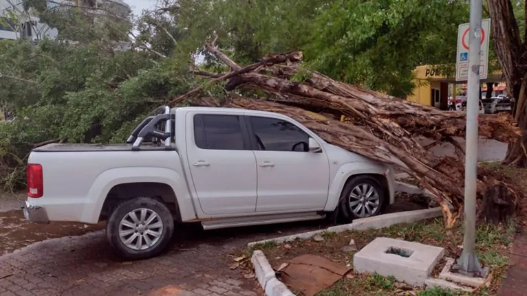 Árvore caiu em cima de veículo