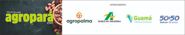 DOLPlay: Amêndoa de cacau do Pará é a melhor do Brasil