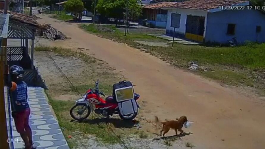 Momento em que o cachorro leva a marmita