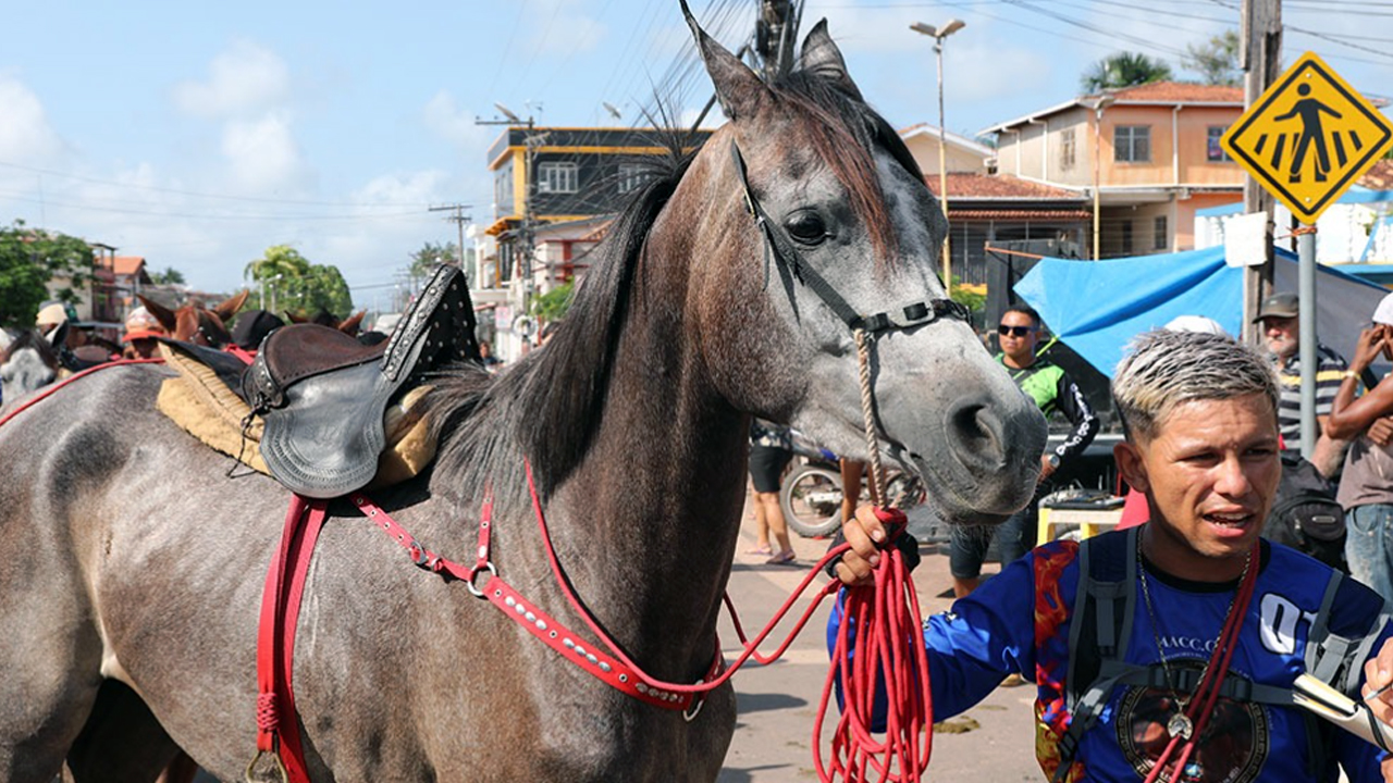 Marathoncode: Passeio do cavalo