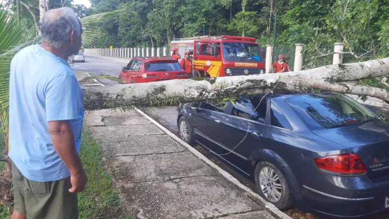 Árvore cai em cima de carro e causa prejuízos em Belém
