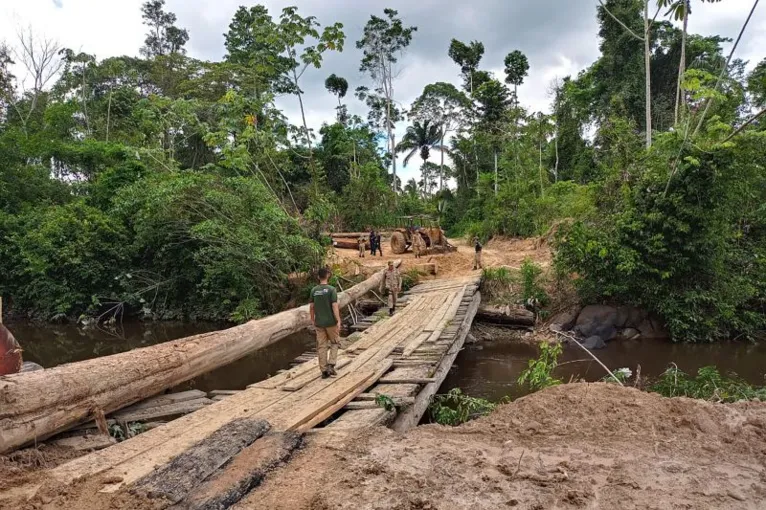 Governo do Pará aumenta rigor na fiscalização ambiental