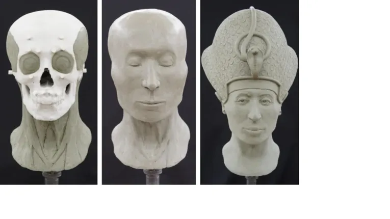 Imagens 3D do crânio de Tutancâmon