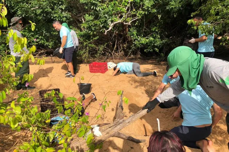 Mais de 6 mil quelônios foram soltos no Rio Xingu no Pará