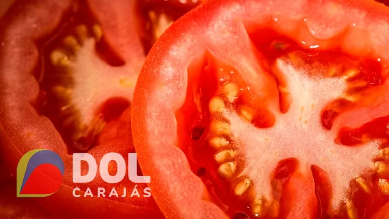 Glicoalcaloides também estão presentes nos tomates