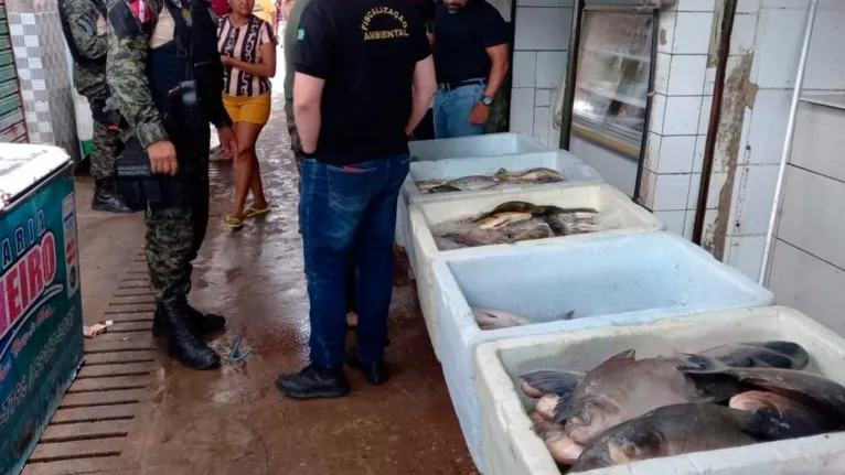 O peixe proibido para a venda estava misturados aos de criatório para camuflagem