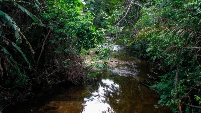 O igarapé fica localizado na zona de transição entre os biomas Floresta Amazônica e Cerrado