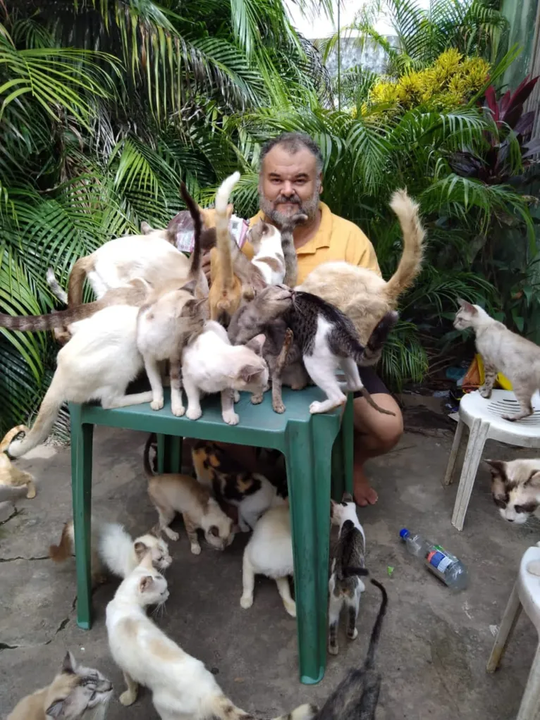 Professor que cuida de gatos abandonados pede doação