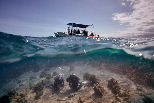 Foto Pesquisa subaquática em Fiji