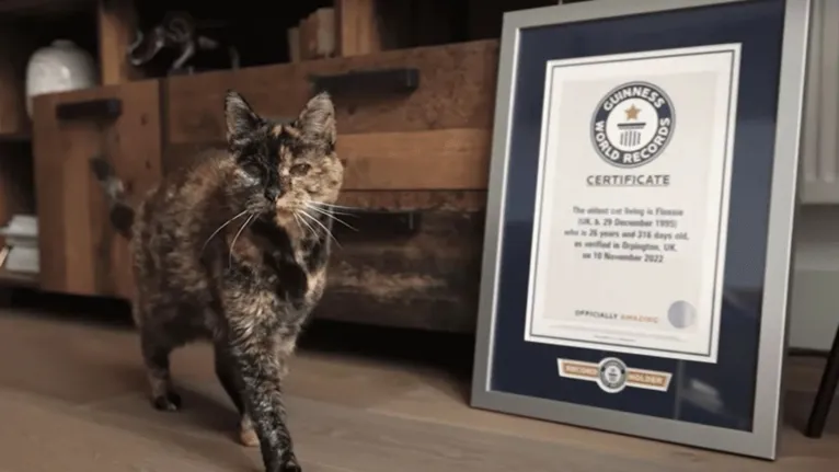 O certificado do Guinness World Records foi divulgado nesta quinta-feira (24).