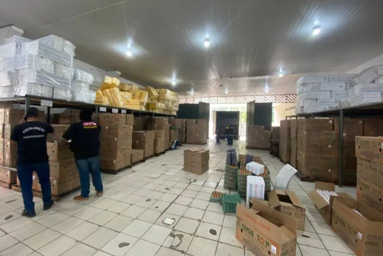 Quase 280 mil ovos de produção clandestina são apreendidos