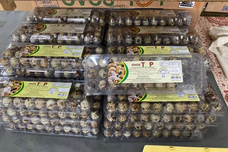 Quase 280 mil ovos de produção clandestina são apreendidos