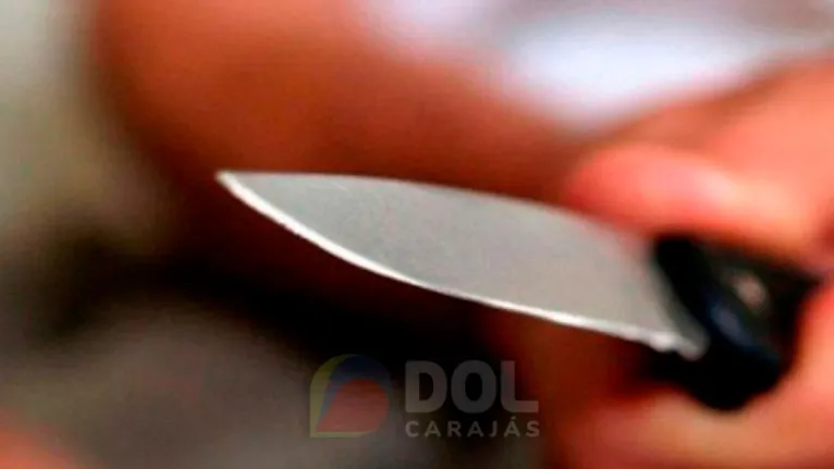 Mulher desferiu facada no pescoço do marido