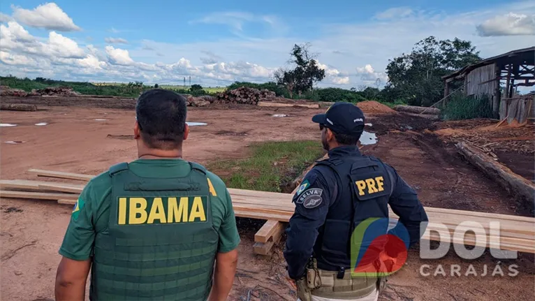 A ação contou com agentes do Ibama e da Polícia Rodoviária Federal