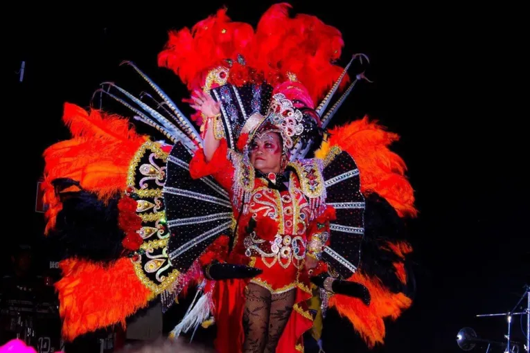  Centro Bolonha promove inclusão revivendo grandes carnavais