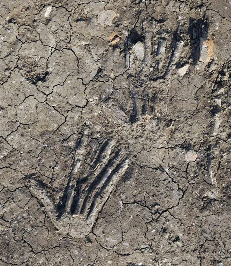 Mãos humanas gigantes de 3,600 anos foram encontradas em um poço no Egito