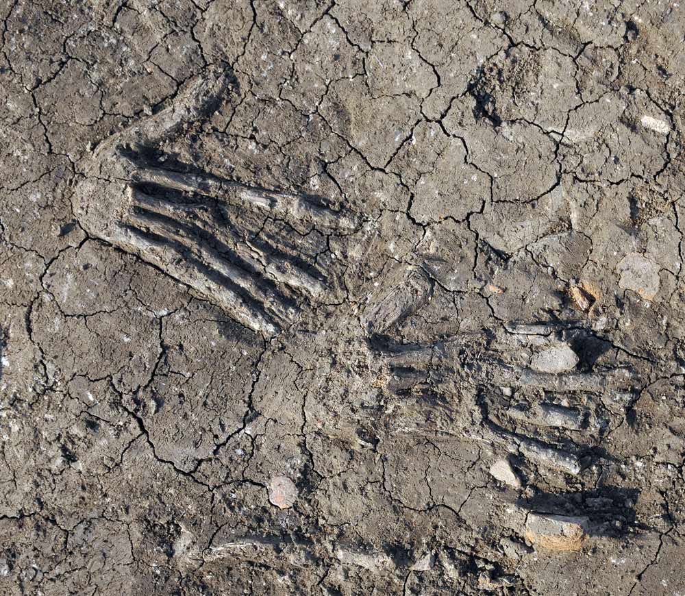 Mãos humanas gigantes de 3,600 anos foram encontradas em um poço no Egito