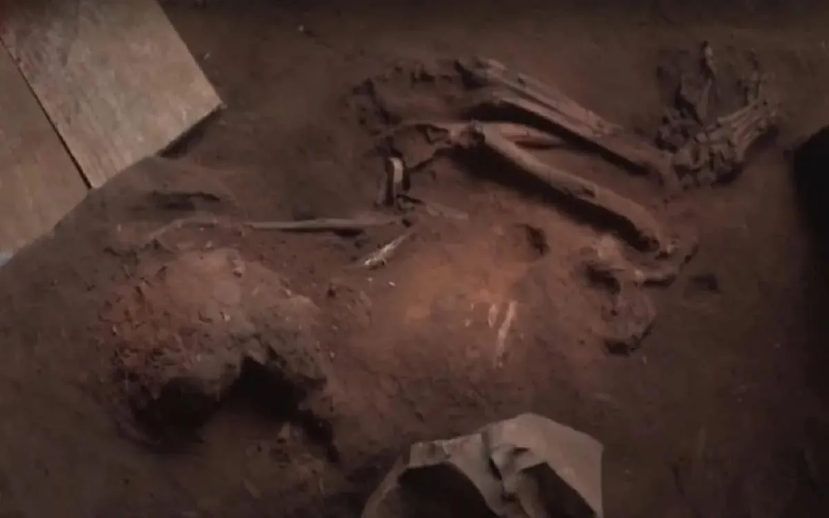 Esqueleto foi encontrado com todas as partes do corpo. Fóssil estava a dois metros de profundidade.