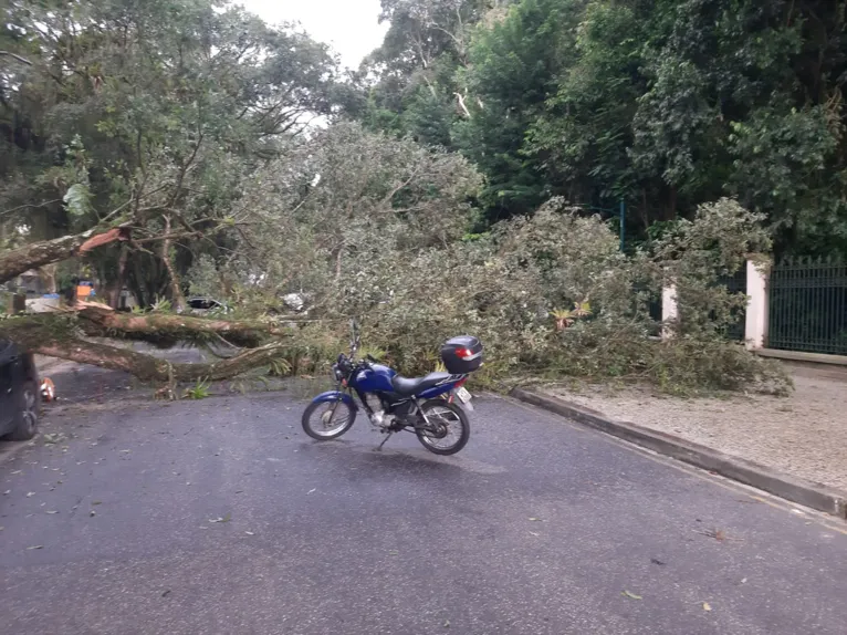 O ocorrido foi ao lado do Bosque Rodrigues Alves