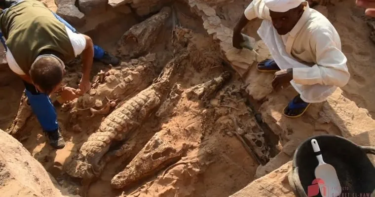 Arqueólogos estudam as múmias no local da escavação