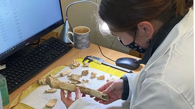 Crânio com estaca de ferro cravado é achado no Reino Unido
