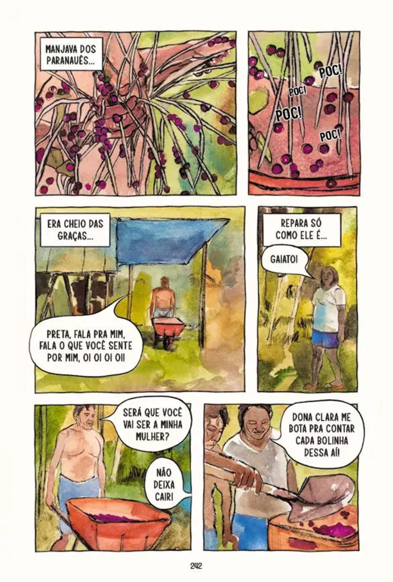 Adocica