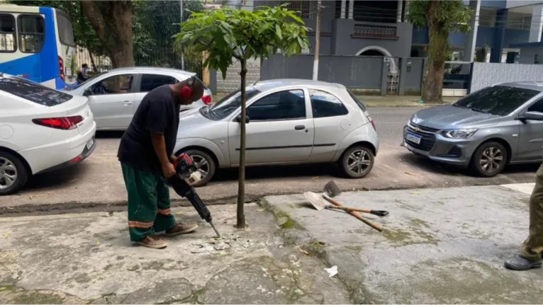 Cobrir raízes de árvores com cimento é crime ambiental